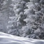 Hvordan vælger jeg den rigtige farve på min loftpendel?